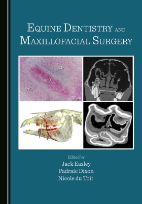 Equine Dentistry and Maxillofacial Surgery  -  Easley / Dixon / du Toit